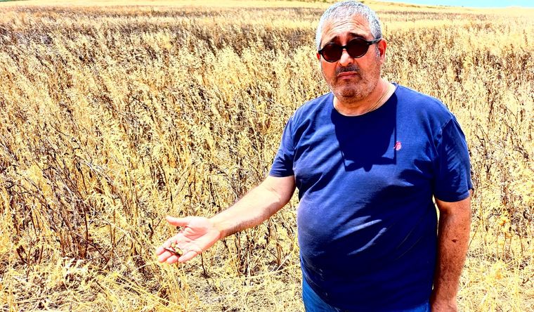 El ganadero Giovanni Impiccichè, mostrando un cultivo que quedó reseco por la falta de lluvias y la sequía en Sicilia. Foto: Efe.