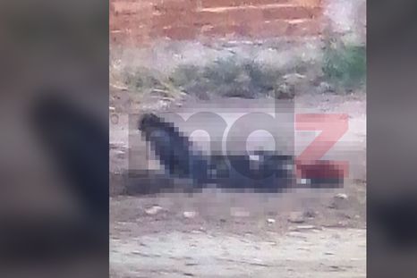 La foto que tomó el único testigo tras encontrarse con el cadáver calcinado. La foto que tomó el único testigo tras encontrarse con el cadáver calcinado.