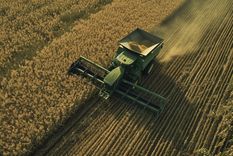 La transformación digital está cambiando la forma en que el agronegocio enfrenta la incertidumbre.