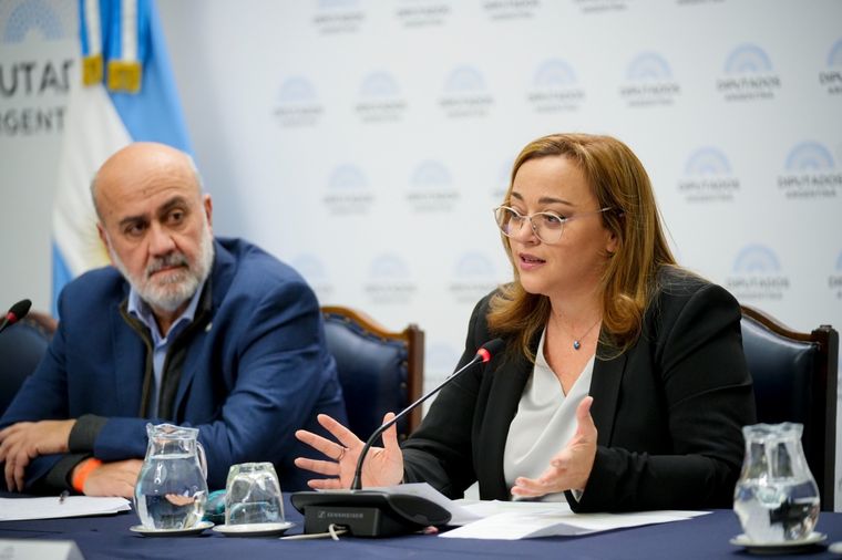 Cecilia Moreau, presidenta de la Cámara de Diputados Foto: Prensa Diputados