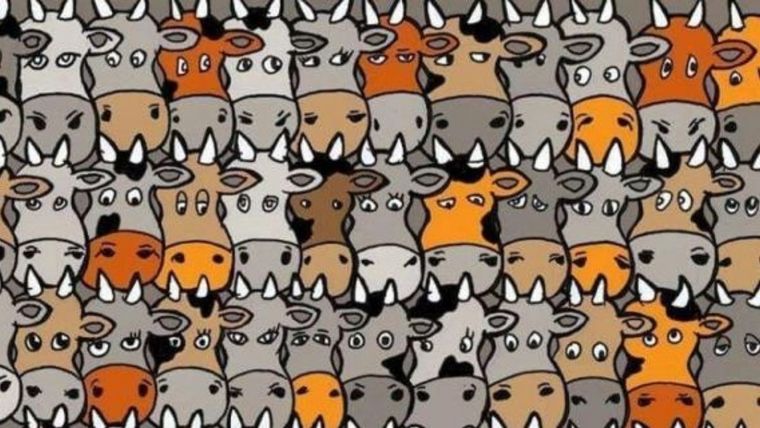 Acertijo visual, reto visual, perro