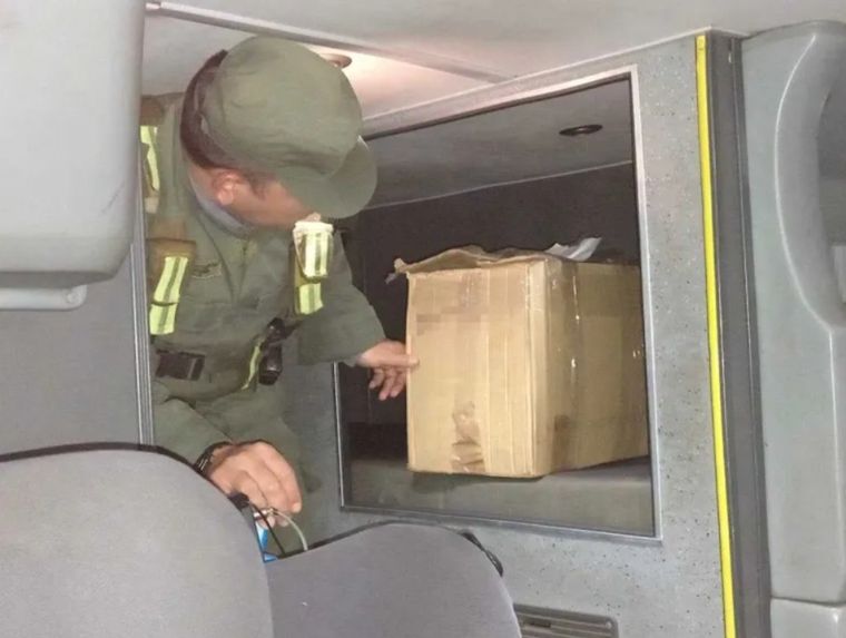 Gendarmes encontraron animales exóticos en un colectivo en Misiones. Foto: LT7 Noticias