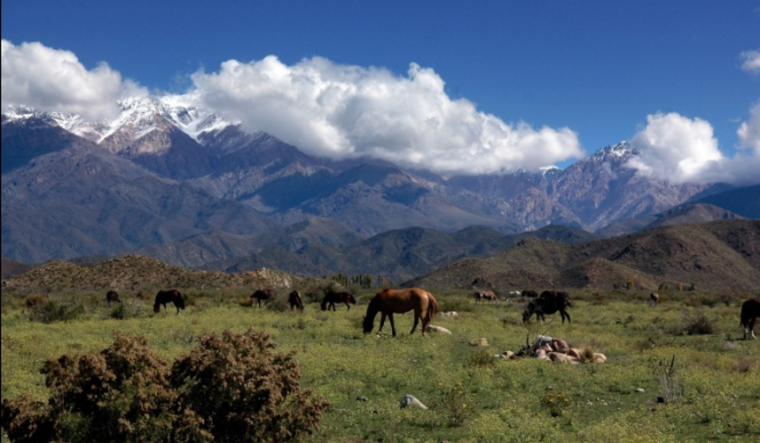 La Pampa del Durazno está en el distrito Los Chacayes.