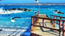 El pueblo costero de Punta de Choros se asienta frente al Pacífico con una línea de horizonte donde aparecen las islas del archipiélago Humboldt.