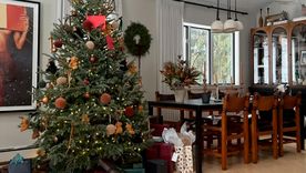 Los árboles de navidad siempre están en el centro de los recuerdos navideños. Créditos: Becky Shea