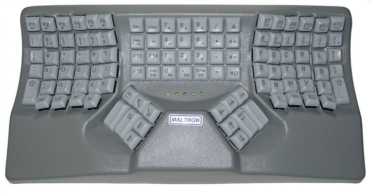 478855.jpg
