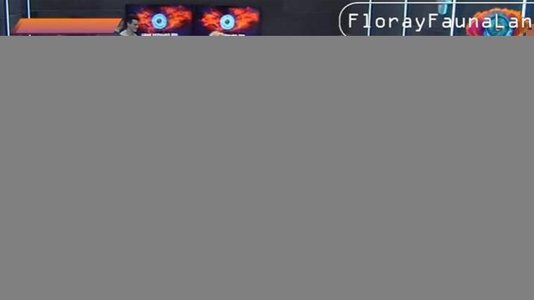 716444.jpg