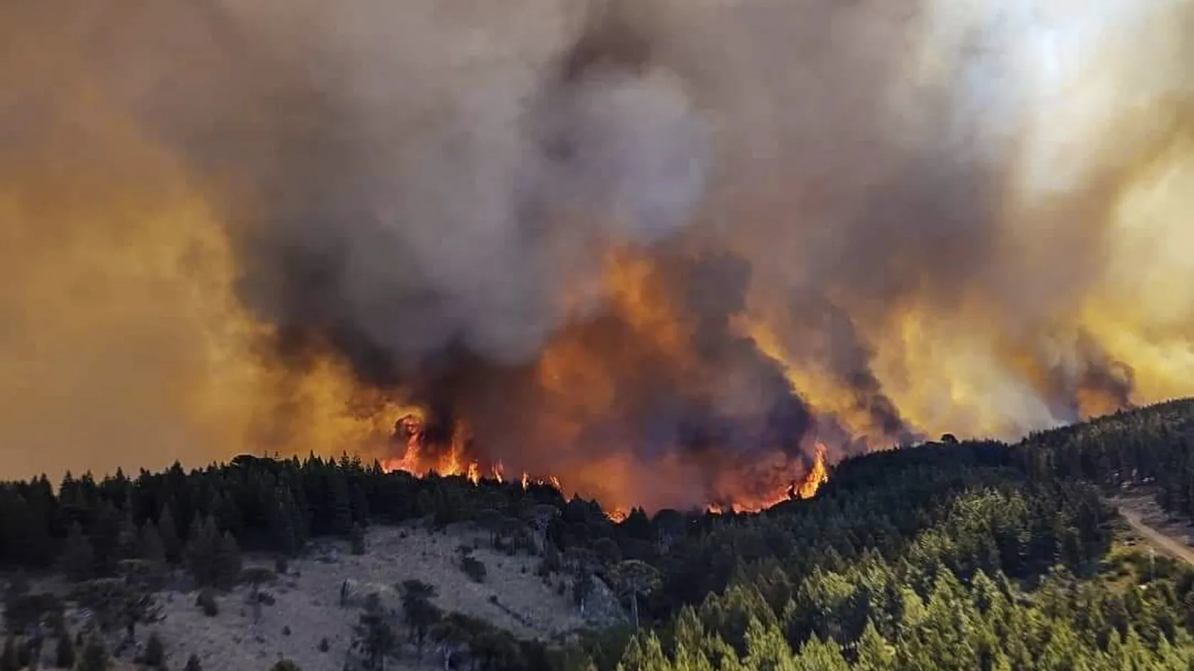 Esta semana se reactivaron tres focos de incendio en el Parque Nacional Los Alerces.&nbsp;