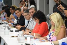 El legislador en pleno trabajo Foto: Prensa Legislatura