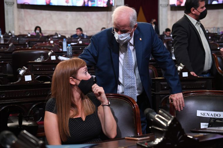 La senadora Anabel Fernández Sagasti presentó hoy un proyecto en contra de los jueces sin perspectiva de género. Foto: Comunicación Senado