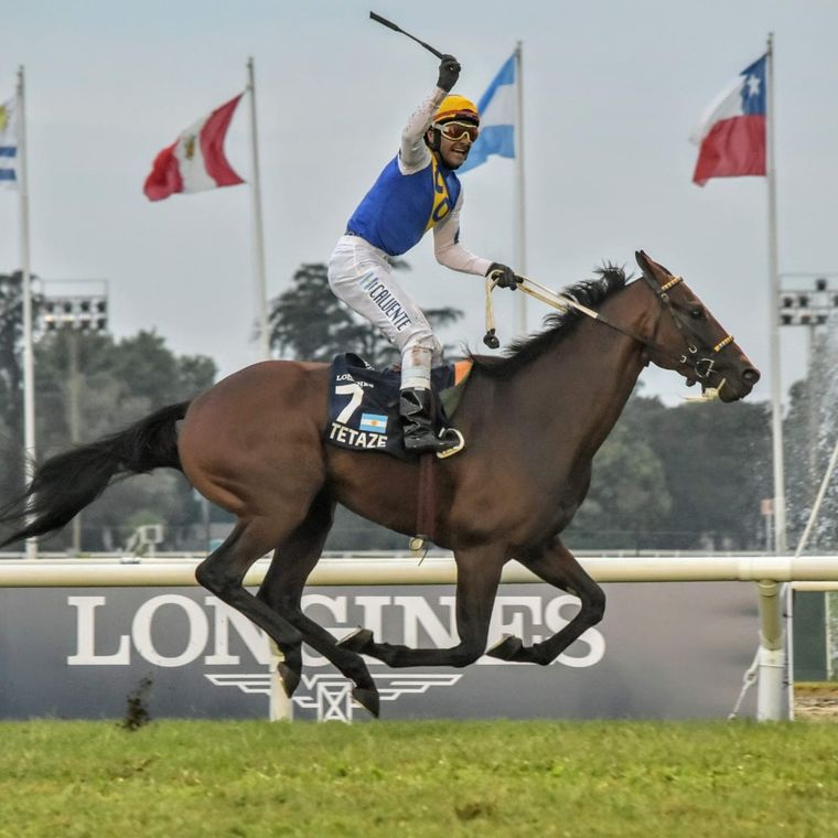 Tetaze es la carta fuerte del Pellegrini (foto gentileza José Maluf).