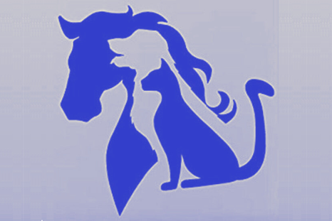 TEST DE PERSONALIDAD TEST DE PERSONALIDAD