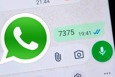 MDZol | whatsapp codigod