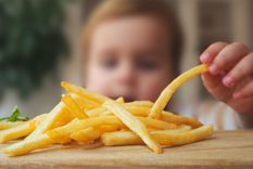 Foto: HZPC - hzpc.com/es