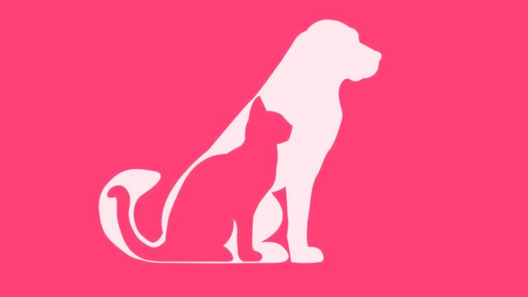 Test de personalidad