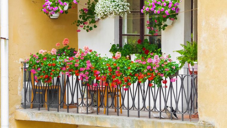 Cómo lograr un jardín en el balcón. Foto: Shutterstock Cómo lograr un jardín en el balcón. Foto: Shutterstock