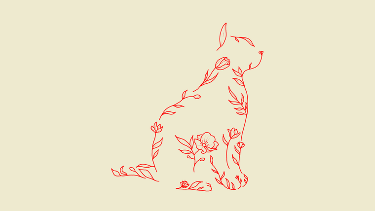 test de personalidad test de personalidad