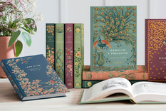 Foto: Novelas eternas