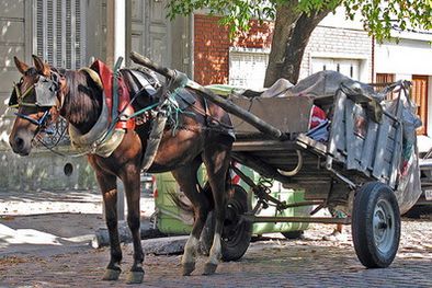 MDZol | Más de cien carretelas circulan por las calles de Godoy Cruz todos los días. Foto: Web