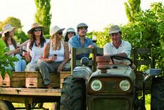 una aplicacion para el enoturismo en chile una aplicacion para el enoturismo en chile