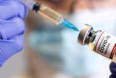 La nueva dosis bivalente optimiza la generación de anticuerpos contra las variantes de la enfermedad Foto: UNLP Investiga