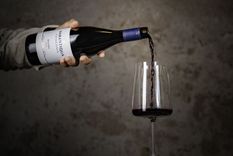 La nueva línea que llega al mercado argentino Foto: Gentileza