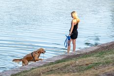 A más de un mes para el verano, desde noviembre comenzarán a subir las temperaturas máximas y Mendoza será un horno hacia fin de año Foto: Santiago Tagua/MDZ