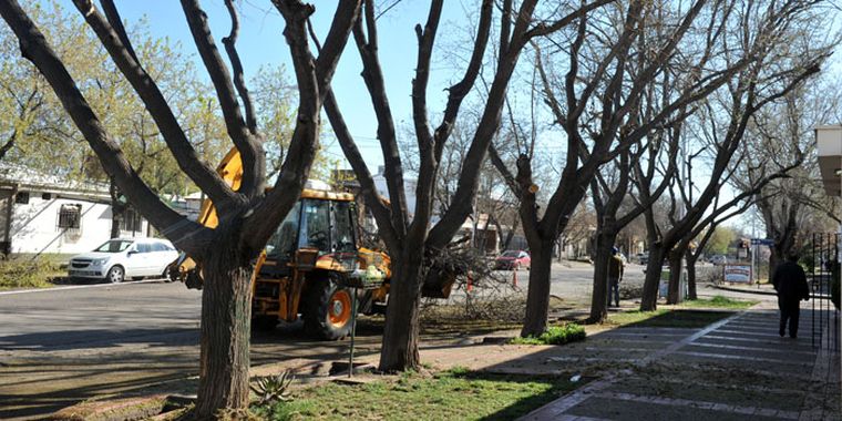 Foto: Pablo Matar/Mediamza.com