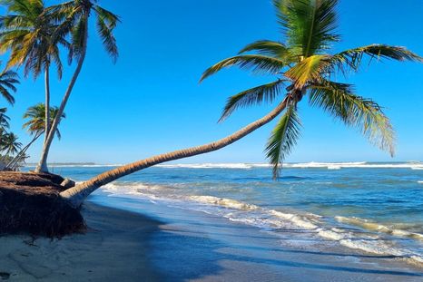 Punta Cana. Punta Cana.