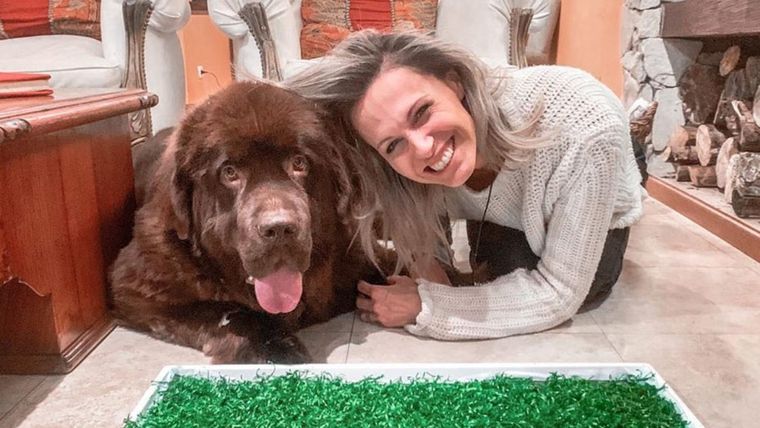 DENISE DUMAS AMA LOS ANIMALES. EN SU CASA TIENE ONE MASCOTAS.