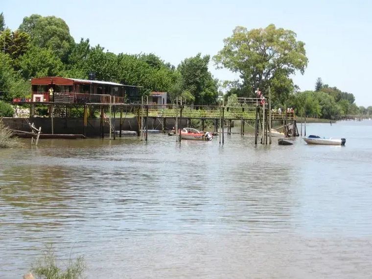 Un pescador encontró el lunes por la mañana el cuerpo de un perro que había sido ahogado en Isla Paulino, Berisso. Tenía una soga al cuello atada a una pesada piedra. Foto: La Buena Info