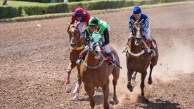 El Hipódromo de Mendoza. El Hipódromo de Mendoza.