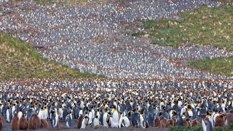 Link a la foto: Link a la foto: