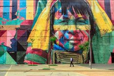 ¿como es que los daltonicos ven el mundo?