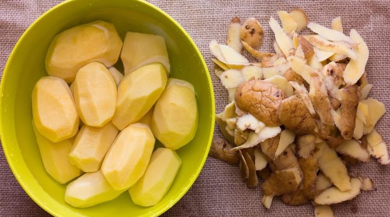 Este ingrediente que todos tenemos en la cocina es vital para este abono casero Foto: Pixabay