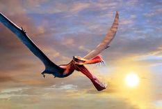 Los fósiles hallados abren descubrimientos sobre los hábitos de las aves prehistóricas. Foto Dpa 