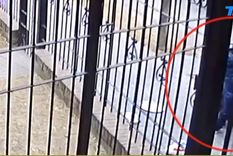 video: un nene defendio a su mama a las trompadas de un ladron