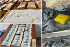desarticularon una banda narco y secuestraron mas tres kilos de cocaina del delfin