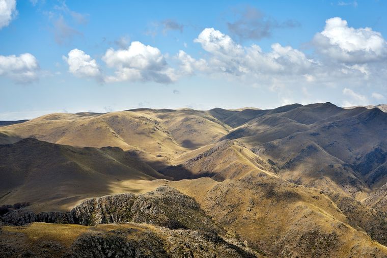 Un extraño episodio vivió un piloto de Aerolíneas Argentinas cuando su avión se dirigía al aeropuerto de Córdoba desde Buenos Aires Foto: Shutterstock