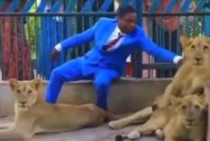 Nigeria En el video puede verse al pastor acariciando a los animales dentro de la jaula Foto: Captura de video