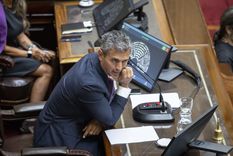 El presidente de la Cámara de Diputados, Martín Menem. El presidente de la Cámara de Diputados, Martín Menem.