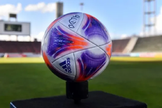 La Liga Profesional sigue dejando entrenadores sin trabajo.