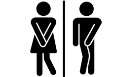La vejiga de hombres y mujeres pueden contener, cómodamente, entre 400 y 600 mililitros de orina.