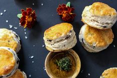 scon Foto: Shutterstock