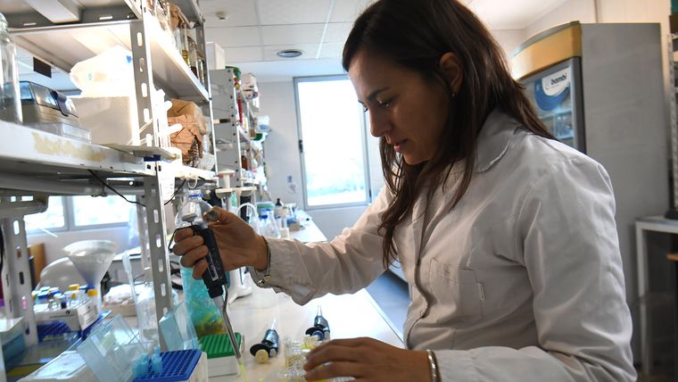 Mascotti hoy desarrollo su carrera científica con base en Mendoza. Mascotti hoy desarrollo su carrera científica con base en Mendoza.