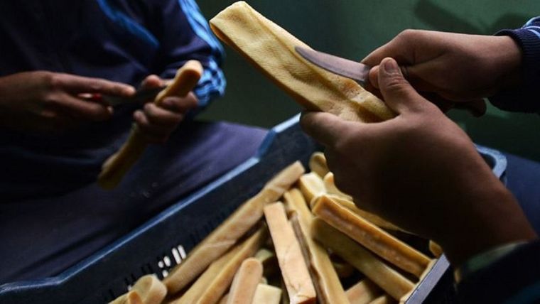 El Chhurpi tiene un sabor intenso y ahumado. Foto: GETTY IMAGES