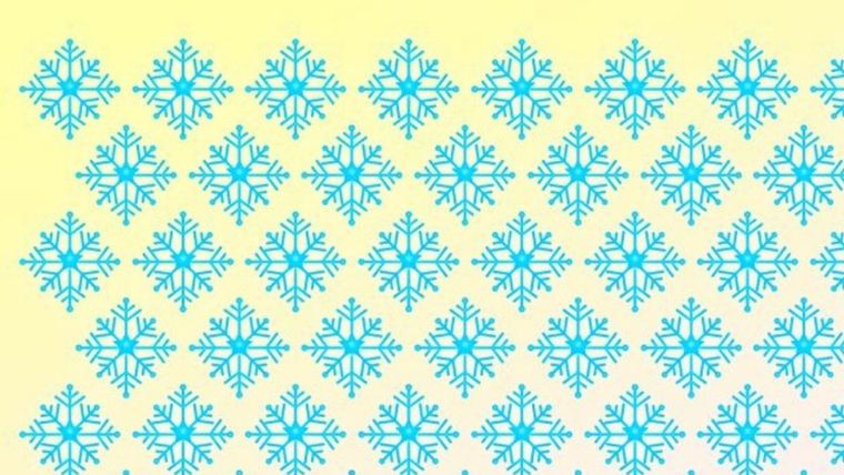 Acertijo visual, reto visual, nieve Pinterest Foto: Archivo