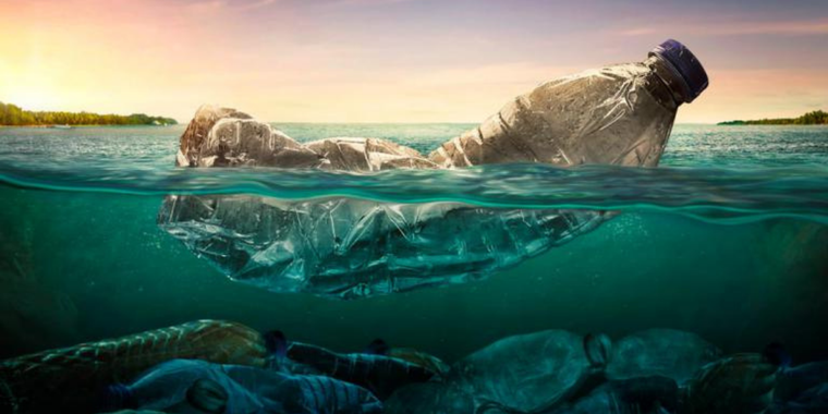 El cambio climático, la pérdida de biodiversidad y contaminación juntos representan una emergencia planetaria.