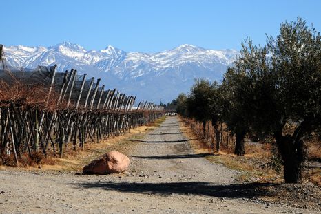 La oferta de trabajo incluye varios puestos disponibles. La oferta de trabajo incluye varios puestos disponibles.