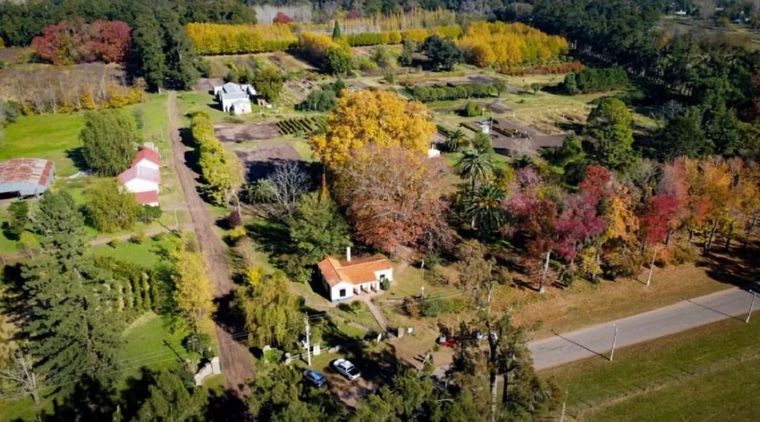 Cazón es conocido como el pueblo del millón de árboles Foto: IG @elcoppa
